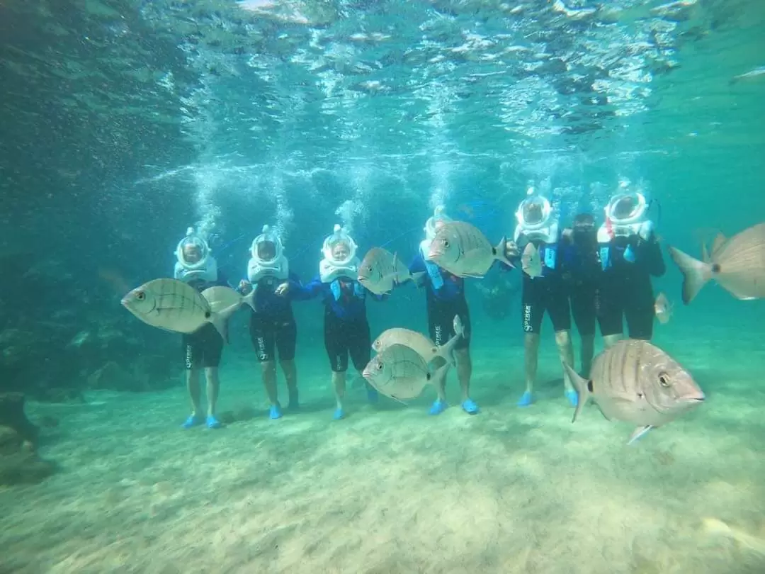 Sea Floor Walk Experience
